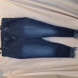 Lane Bryant Skinny Distressed Jeans SZ 22R